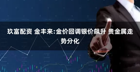 玖富配资 金丰来:金价回调银价飙升 贵金属走势分化