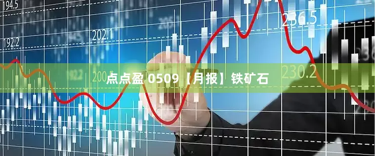 点点盈 0509【月报】铁矿石