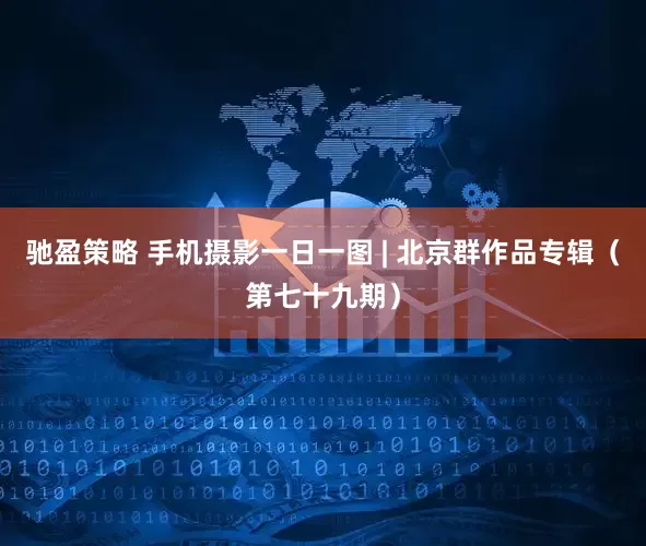 驰盈策略 手机摄影一日一图 | 北京群作品专辑（第七十九期）