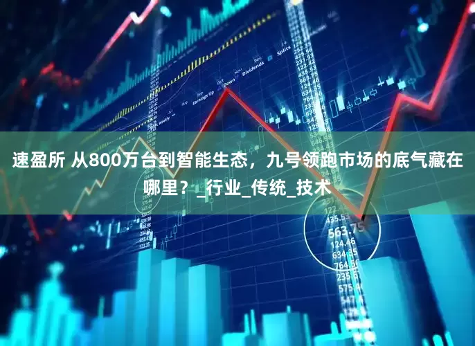 速盈所 从800万台到智能生态，九号领跑市场的底气藏在哪里？_行业_传统_技术