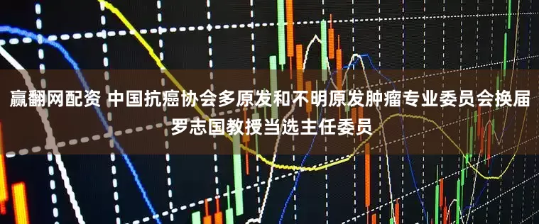 赢翻网配资 中国抗癌协会多原发和不明原发肿瘤专业委员会换届 罗志国教授当选主任委员