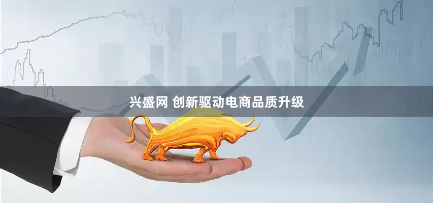 兴盛网 创新驱动电商品质升级