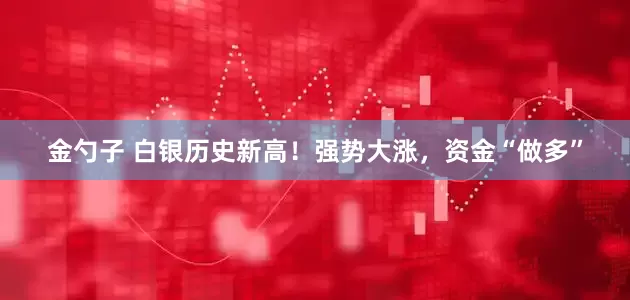 金勺子 白银历史新高！强势大涨，资金“做多”